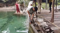 Đà Nẵng kiên quyết xử lý khu du lịch trái phép 