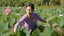 Những Vlog rưng rưng góc bếp quê nhà