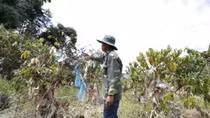 Sớm đền bù thiệt hại cho người dân do nhà máy thủy điện xả nước đột ngột