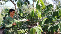 Người dân hiến hàng nghìn mét vuông đất để xây cầu