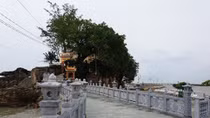 Để du khách an lòng đến Đảo Ngọc