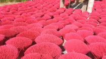 Đi qua vùng đất thơm