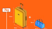 Nữ khách cắn nhân viên hàng không khi bị kiểm tra hành lý