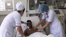 Cứu sống bệnh nhân bị ong võ vẽ đốt hơn 50 mũi