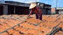 Làng nghề đặc sản miền Tây nhộn nhịp ngày cận Tết