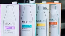 Yêu cầu thu hồi gấp sữa Milk Lab Almond Milk 1L nghi nhiễm khuẩn