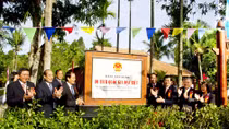 Kỳ tích "cây nhà lá vườn”