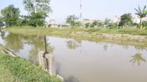 Đi lo tang lễ cho anh trai về, phát hiện con trai bị đuối nước