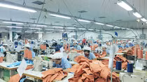 Các FTA thế hệ mới tác động tích cực đến nền kinh tế Việt Nam trong năm 2020