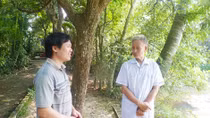Vườn Bùi lưu truyền một vẻ đẹp