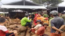 Ngã vào máy cưa, nam thanh niên bị cắt đứt người