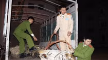 ''Nhiệt huyết màu xanh''