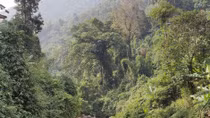 Ba ngày chinh phục đỉnh Pờ Ma Lung