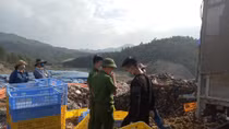 Tiêu hủy 44 nghìn con gà giống nhập lậu