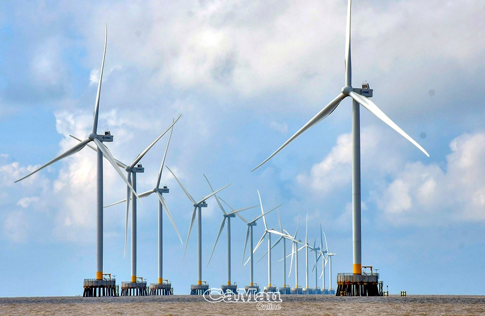 Huy động hiệu quả nguồn lực, phát huy tiềm năng, lợi thế - Động lực đưa Cà Mau phát triển nhanh và bền vững trong kỷ nguyên mới (*) -8