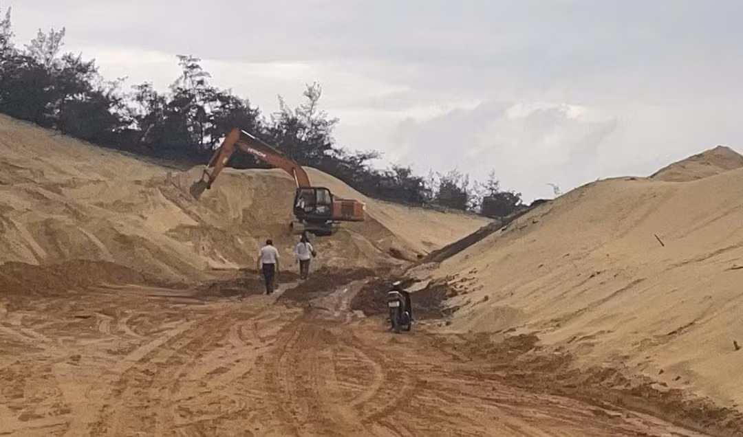 p6.jpg