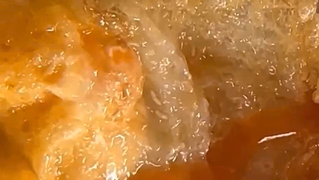 f3979ef8-1744-420c-b1b6-3f8f96ada96f.jpg