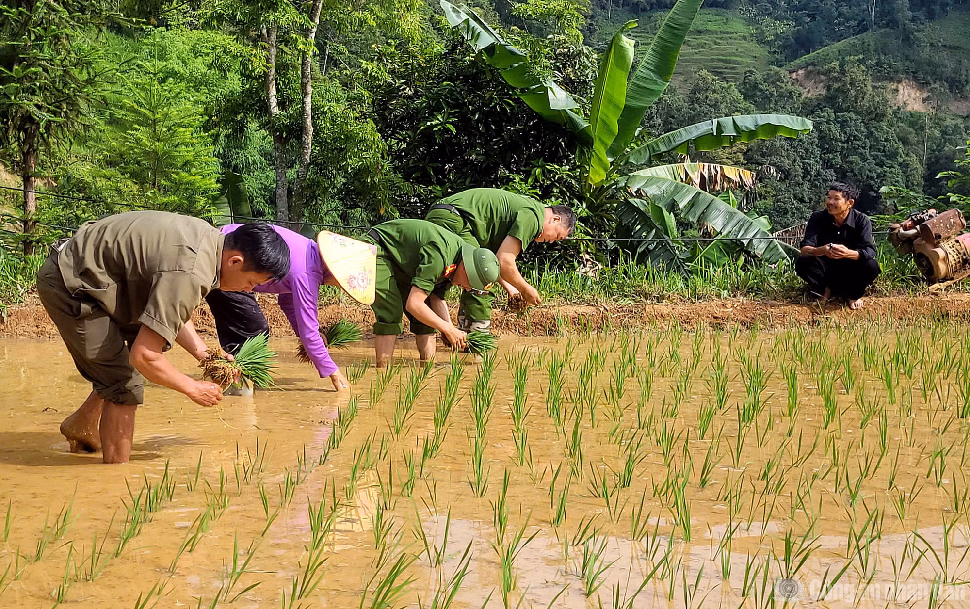 Ông Lù Dỉ Xìn (người dân thôn Lủng Cẩu) xúc động chia sẻ: “Gia đình tôi neo người, việc cấy lúa rất vất vả. Cả năm chỉ cấy duy nhất một vụ nên nếu để chậm trễ sẽ ảnh hưởng không nhỏ tới đời sống của gia đình. Được các đồng chí Công an đến giúp đỡ, gia đình tôi rất cảm kích trước tinh thần tương thân tương ái, vì cộng đồng, vì cuộc sống bình yên và hạnh phúc của nhân dân”.