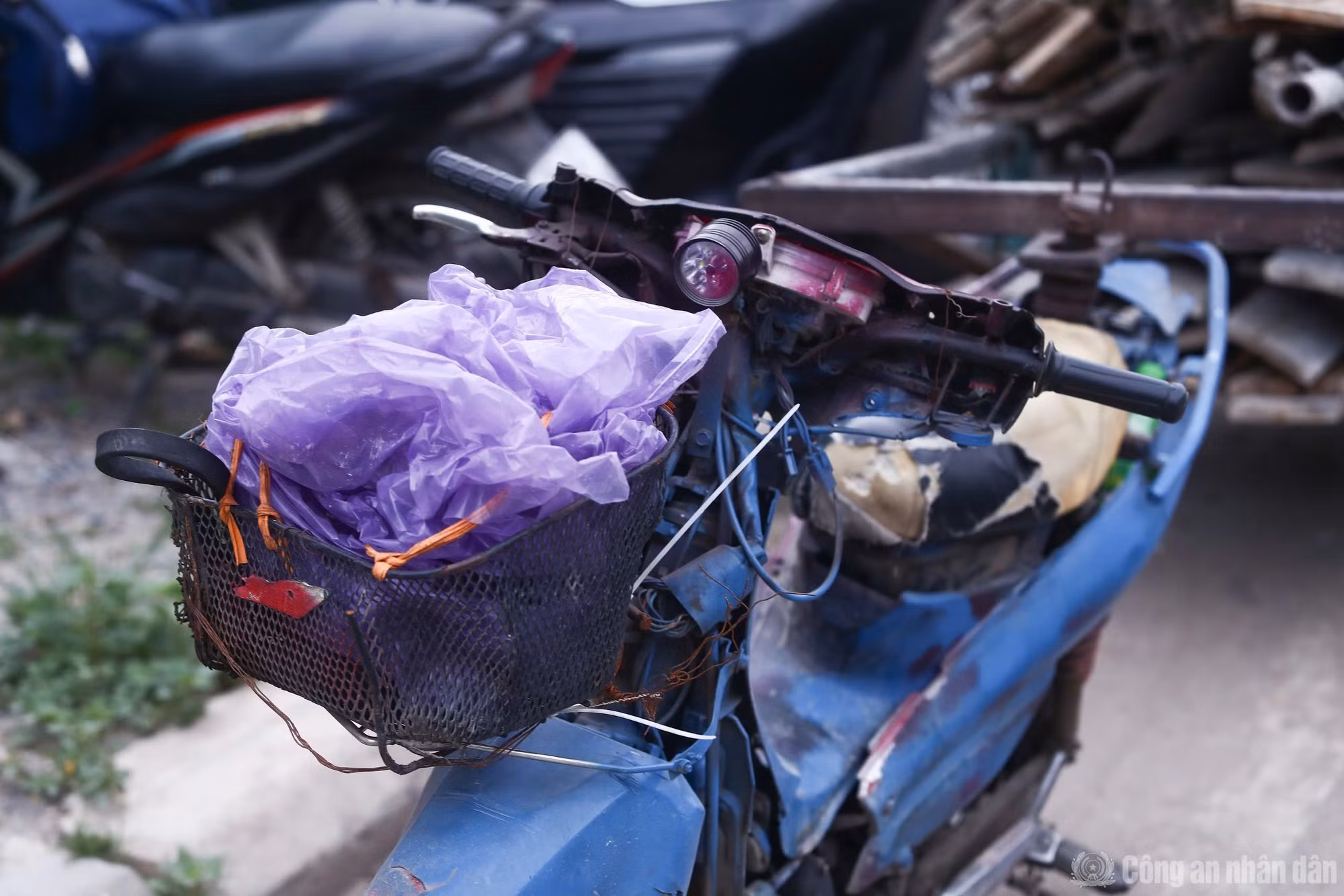 cand_br_anh-21.jpg