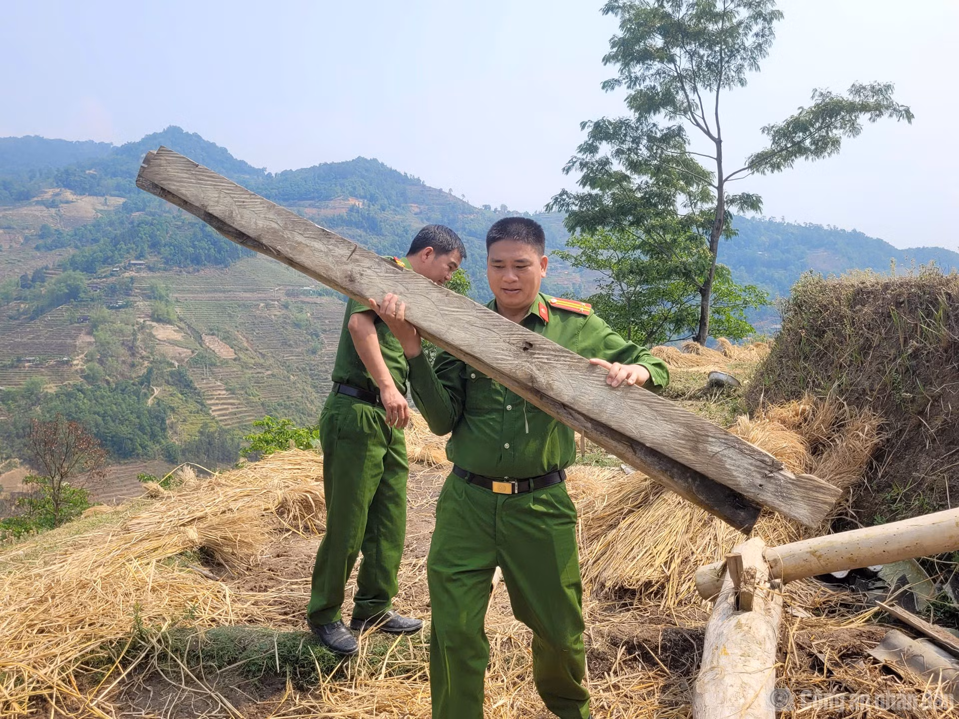 cand_br_95fb2358cb8e4ad0139f.jpg