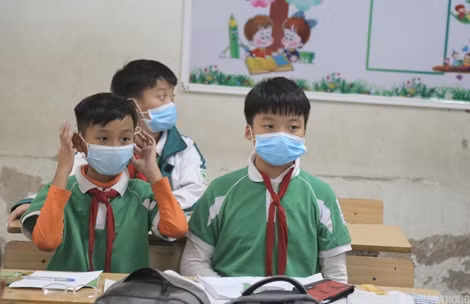 Hà Nội: Phạt 30 triệu đồng trường liên cấp Capitole vì tự ý cho học sinh đi học ảnh 3