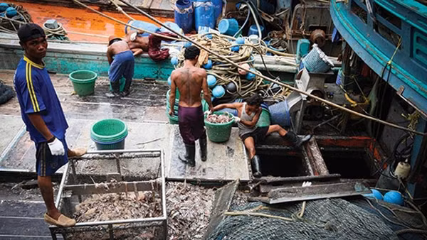 Đánh bắt hải sản là một trong những ngành nghề mà lao động Việt Nam được phép làm tại Thái Lan. (ảnh chỉ mang tính chất minh họa). Ảnh: The Guardian.