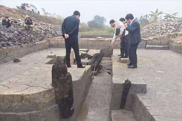 Bãi gỗ cổ vừa được phát hiện thêm tại Đức Sơn, xã Yên Đức, thị xã Đông Triều. Ảnh: CTV.