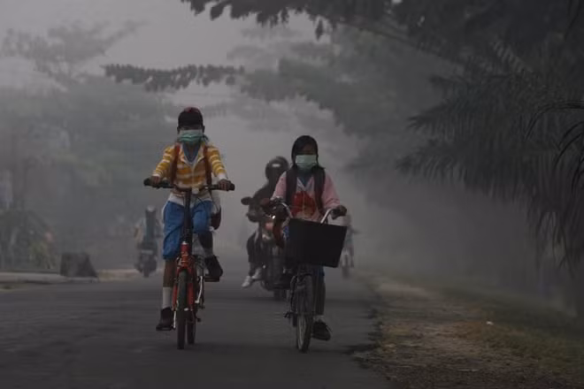 Các học sinh tại thị trấn Sampit, tỉnh Trung Kalimantan, Indonesia băng qua những con đường phủ đầy bụi mù đến trường. Ảnh được chụp năm 2012