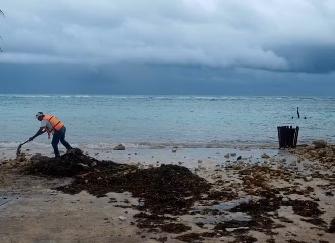 Một công nhân môi trường dọn dẹp rác thải từ biển bị sóng đánh dạt vào bờ