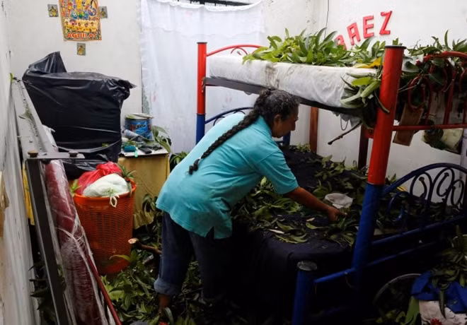 Chị Leonor Ortega, một cư dân của bang Veracruz, lặng lẽ dọn dẹp lại căn phòng bị tốc mái do bão