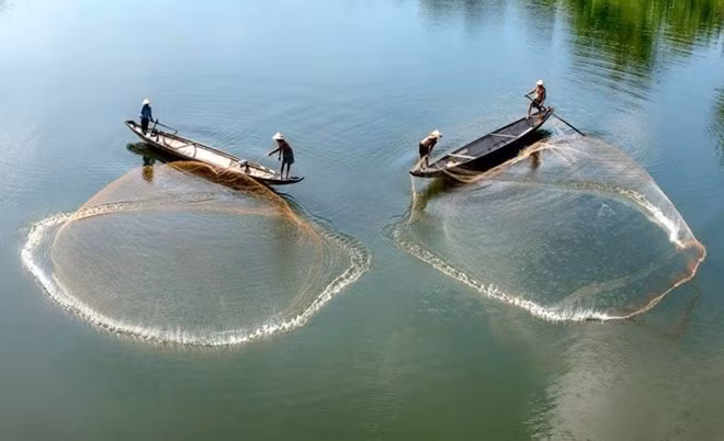 Tung chài - tác giả: Vũ Quang Ngọc