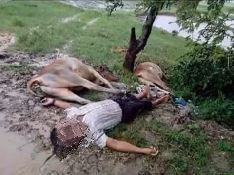 Hiện nay, các cơ quan chức năng vẫn đang tập trung vào công tác cứu hộ và sơ tán người dân khỏi nơi nguy hiểm. Chưa có số liệu thông kê chính xác nào về số người thương vong và mất tích sau thảm họa này.