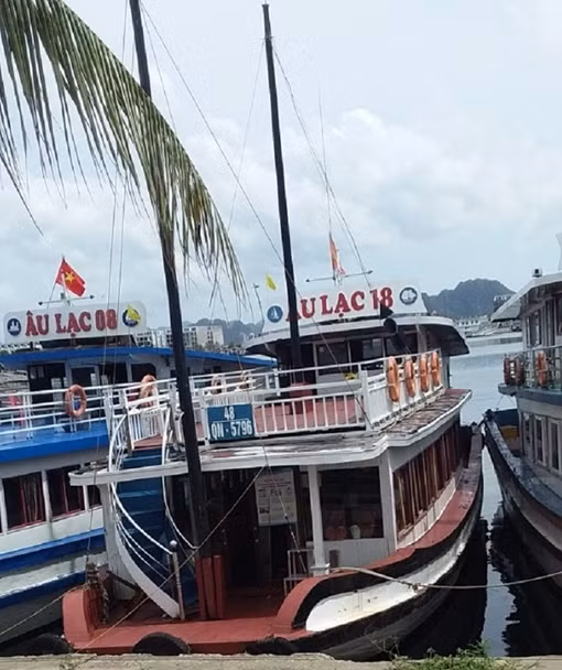 Bán 3 phần mì xào bò "chém" 600 nghìn, chủ nhà hàng bị phạt 21 triệu đồng ảnh 3