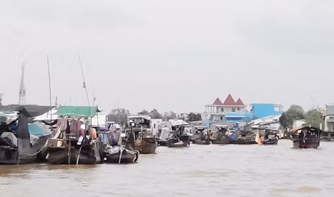 Chợ nổi Cái Bè.