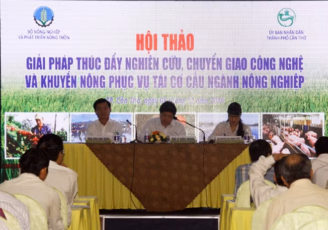 Các đại biểu tham dự Hội thảo