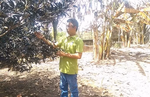 GS.TS Trịnh Văn Tuyên: Khí Amoniac độc hại nhưng dễ pha loãng trong môi trường tự nhiên ảnh 3