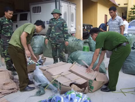 Cơ quan chức năng Lạng Sơn bắt hàng lậu.