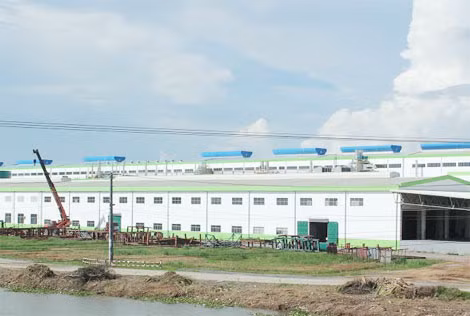 Người dân lo lắng nhà máy giấy Lee&Man khi đi vào hoạt động sẽ “bức tử” sông Hậu.