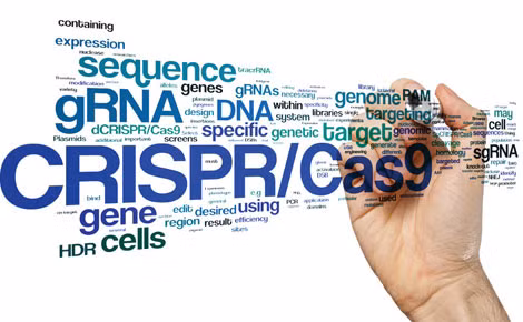 Công nghệ chỉnh sửa gen CRISPR-Cas9 đã trở thành một trong những vấn đề đáng quan tâm nhất thế giới, đem lại quyền năng đáng mơ ước cho kỹ thuật di truyền.