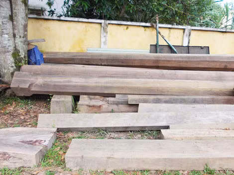 Số gỗ được Chủ tịch UBND huyện Phước Sơn xác nhận là của hộ gia đình ông Tân Tấn Thìn bị tạm giữ, chờ xử lý.