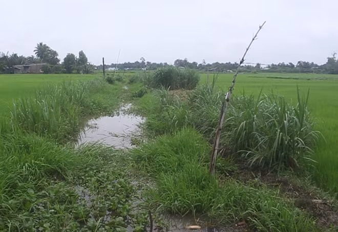 Hiện trường xảy ra vụ việc.