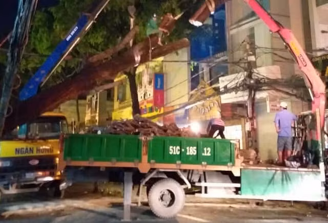 Cây xanh ngã trên đường Nguyễn Trãi được cắt rời, di chuyển đi nơi khác.