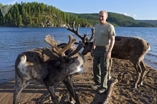 Tổng thống Putin bên đàn tuần lộc trong một chuyến công du tới Siberia.