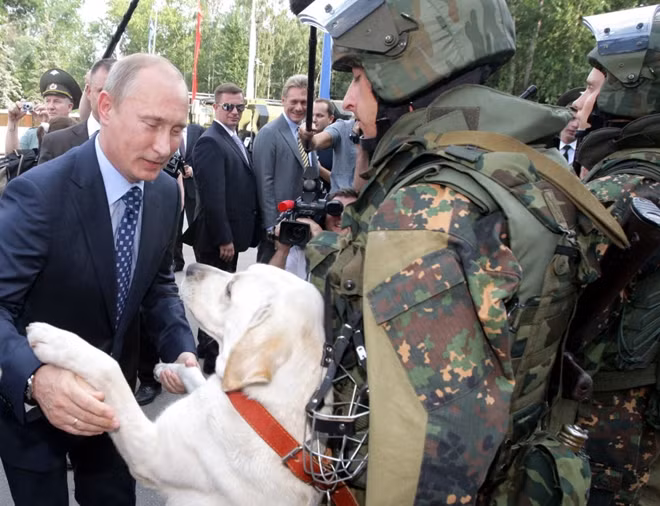 Ông Putin “bắt tay” một chú chó khi tới thăm một căn cứ gần thủ đô Moscow.
