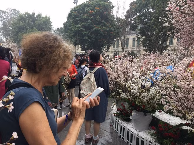 Du khách nước ngoài cũng hào hứng với hoa anh đào
