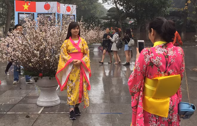 Các cô gái tạo dáng bên hoa anh đào