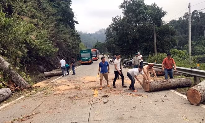 Sau gần 1 giờ đồng hồ, lực lượng CSGT cùng người dân và cơ quan chức năng đã dọn dẹp xong tình trạng cây ngã đổ.