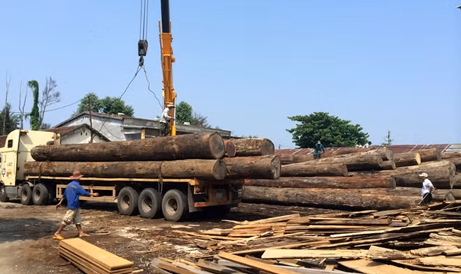 Công nhân làm việc tại Công ty CP Câu Lâu. Ảnh: C.Ty