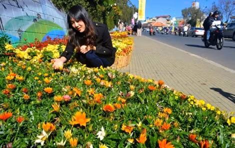 Đây là một trong những điểm nhấn quan trọng của Festiva hoa Đà Lạt năm 2015.