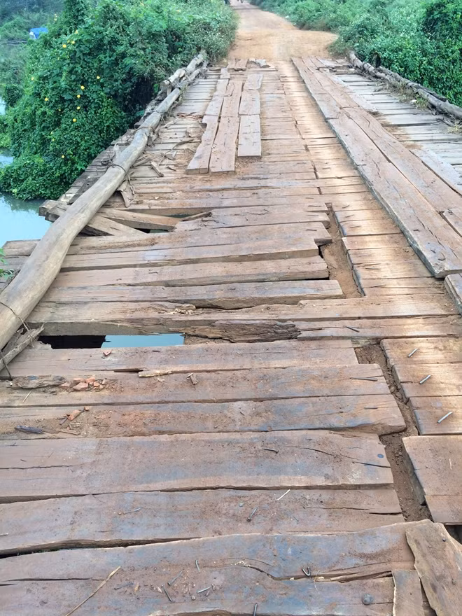Toàn bộ ván đóng trên cầu đều cũ nát, mục ruỗng nhưng từ nhiều năm nay nhưng mỗi ngày có hàng trăm lượt người và xe qua lại mỗi ngày, khiến cây cầu oằn mình chống đỡ và chưa biết sẽ sập lúc nào.